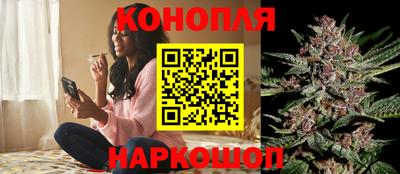 стафф Партизанск