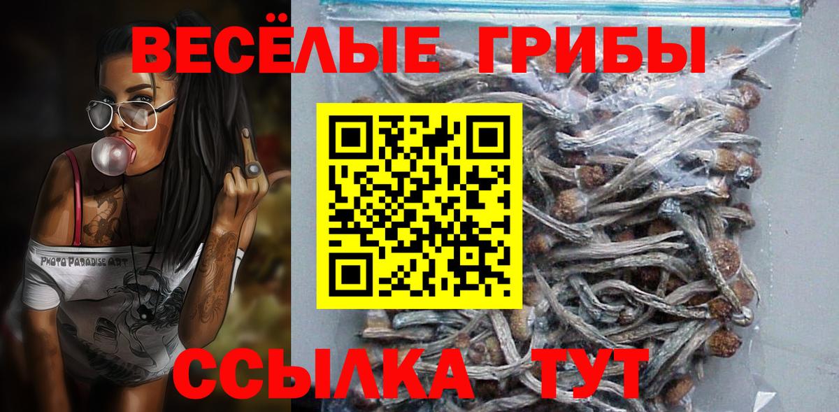 Астрахань  Псилоцибиновые грибы Magic Shrooms  цена   Галлюциногенные грибы Magic Shrooms  Вход с VPN 