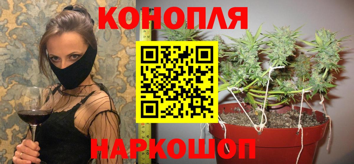 Астрахань  Бошки Шишки гибрид  Вход с VPN  Конопля гибрид 